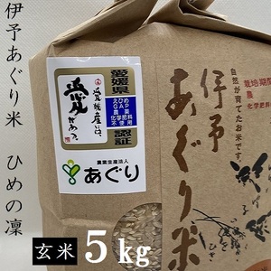 [新米]米 玄米 5kg 伊予あぐり米「ひめの凜」 令和6年産 農薬・化学肥料不使用 玄米 令和6年産 お米 こめ 農薬・化学肥料不使用 こだわりのお 愛媛県 松前町 松前 まさき 愛媛 えひめ おこめ 有限会社あぐり 愛媛県産 松前町 美味しい お米 贈答 贈り物 愛媛県 有限会社 [AGR0040_5R6_x]