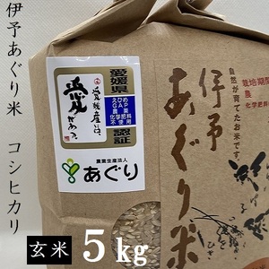 [新米]米 玄米 5kg 伊予あぐり米「コシヒカリ」 令和6年産 米 農薬・化学肥料不使用 