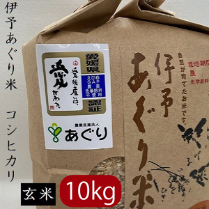   10kg ɗ\āuRVqJv ߘa7NY  _Ew엿sgp b  ߘa7NY    _Ew엿sgp ̂  Q O O ܂ Q 