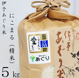 [新米]米 精米 5kg 伊予あぐり米「にこまる」 令和6年産 農薬・化学肥料不使用 精米 令和6年産 お米 こめ 農薬・化学肥料不使用 こだわりのお 愛媛県 松前町 松前 まさき 愛媛 えひめ おこめ 有限会社あぐり 愛媛県産 松前町 美味しい お米 贈答 贈り物 愛媛県 有限会社 [AGR0070_5R6_x]