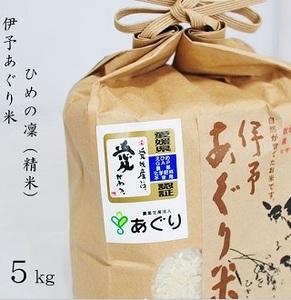 [新米]米 精米 5kg 伊予あぐり米「ひめの凜」 令和6年産 農薬・化学肥料不使用 精米 令和6年産 お米 こめ 農薬・化学肥料不使用 こだわりのお 愛媛県 松前町 松前 まさき 愛媛 えひめ おこめ 有限会社あぐり 愛媛県産 松前町 美味しい お米 贈答 贈り物 愛媛県 有限会社 [AGR0080_5R6_x]