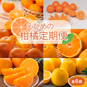 [2025年11月以降毎月発送][定期便全6回]えひめかんきつ定期便 みかん 紅まどんな 伊予柑 いよかん デコポン せとか 河内晩柑 国産 フルーツ 果物 オススメ 人気 愛媛 松前町 松前町おすすめ[KBK0291]
