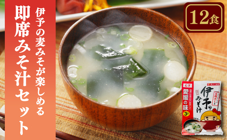 愛媛・伊予の麦みそが楽しめる即席みそ汁セット むぎ(12食入り)