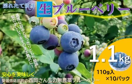 愛媛県砥部町産冷蔵ブルーベリー110g×10パック 甘い アントシアニン デザート フルーツ ヨーグルト 生 まるごと おやつ 今が旬