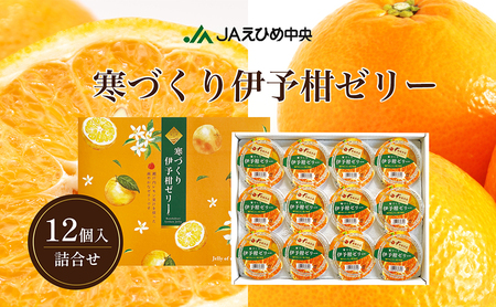 カップゼリー寒づくり伊予柑詰め合わせ12個セット No.18[柑橘 ゼリー 果肉 果実 果汁 果物 フルーツ 国産 愛媛県産 スイーツ おやつ ギフト お中元]