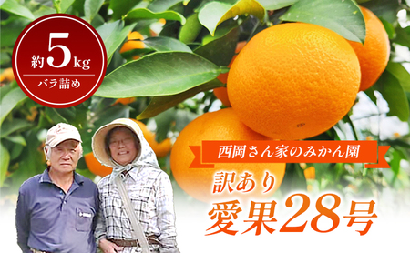 [産地直送][訳あり]みかん「愛果28号」約5kg バラ詰め [訳あり ワケあり 愛果28号 甘味 ゼリー 柑橘 愛媛 砥部町 ふぞろい 家庭用]