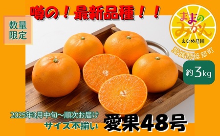 [新品種登場!][産地直送][数量限定]みかん「愛果48号」 サイズ不揃い3キロ 家庭用 2025年3月中旬頃〜順次発送[訳あり ふぞろい 甘い みかん 愛媛]