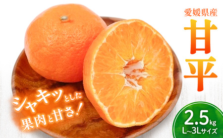 Õ L`3LTCY@2.5kg@݂񔠓ytWEAOt[Y ؂ ͂H Zʏ` {ɂ͂ ݂ k lC ʌ s\ Q t[c ʕ Âz