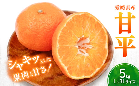 Õ L`3LTCY@5kg@ƒpytWEAOt[Y ؂ ͂H Zʏ` {ɂ͂ ݂ k lC ʌ s\ Q t[c ʕ Âz