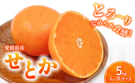 せとか L〜3Lサイズ 5kg 家庭用 [みかん 柑橘 フルーツ 果物 愛媛県 国産 甘い 人気 先行予約 数量限定 旬にお届け 瀬戸香]