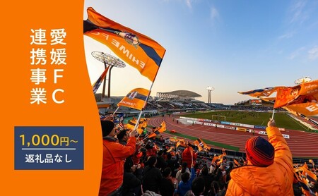 えひめまるごと活性化プロジェクト〜プロスポーツと連携したまちづくり〜[返礼品なし]愛媛FC連携事業 1,000円