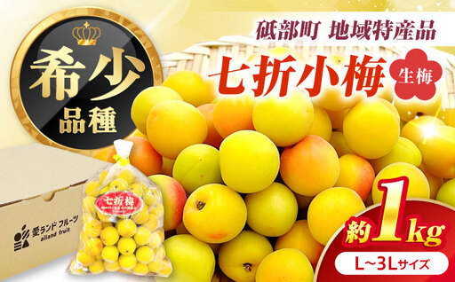 梅 七折小梅 生梅 約1kg 梅干