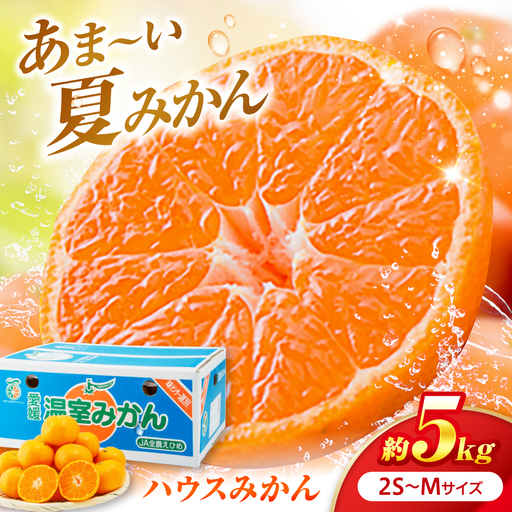 みかん ハウスみかん 約5kg ご家庭用 [7月下旬から9月下旬まで順次発送] / フルーツ 果物 柑橘 蜜柑 ミカン はうす オレンジ 小玉 甘い 先行予約 約 5kg 愛媛 果汁 人気 おすすめ / 愛媛県砥部町/株式会社フジ・アグリフーズ[BJBI015]