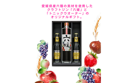 ジン 酒 六の返礼品 検索結果 | ふるさと納税サイト「ふるなび」