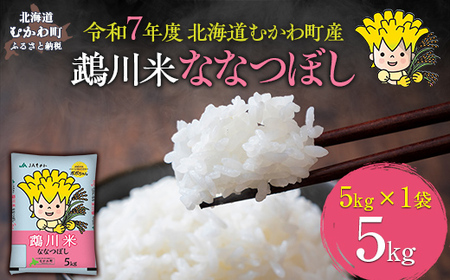 (精米5kg)鵡川米ななつぼし 令和7年産 [ふるさと納税 人気 おすすめ ランキング 米 コメ こめ お米 ななつぼし 5kg ご飯 白米 精米 国産 ごはん 白飯 北海道 むかわ町 送料無料 ]MK