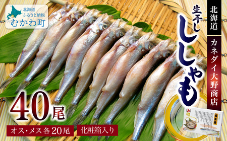 kCYZbgiXEIXe20j MKWAE001 | 