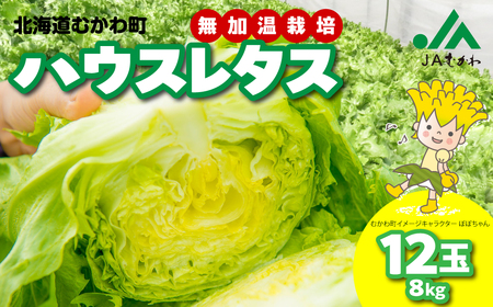 ＜2026年3月下旬より発送＞ハウスレタス MKWAL1001