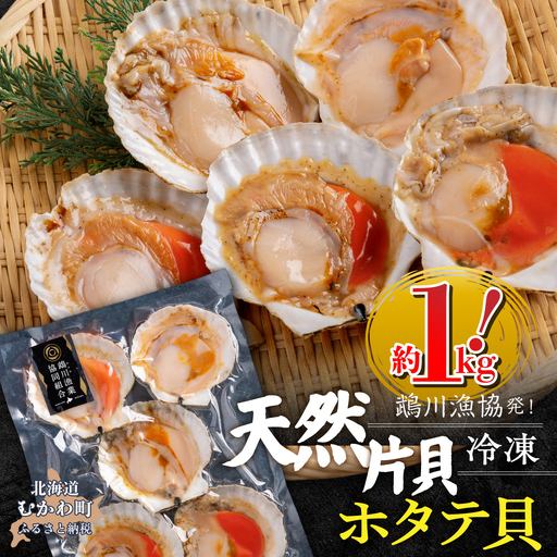 鵡川漁協発！天然片貝冷凍ホタテ貝（約1kg） MKWV005
