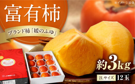 富有柿 2L玉サイズ 約3kg（12玉入り） BKAL002 柿