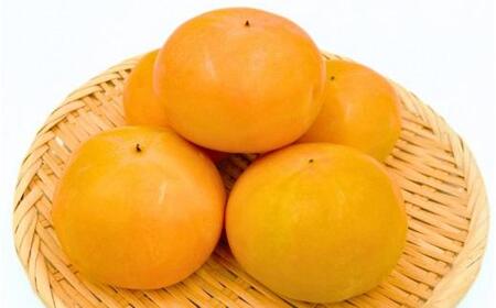 内子町産　富有柿　2.2kg みきゃん箱【北海道・沖縄配送不可】| 柿 柿 柿 柿 柿 柿 柿