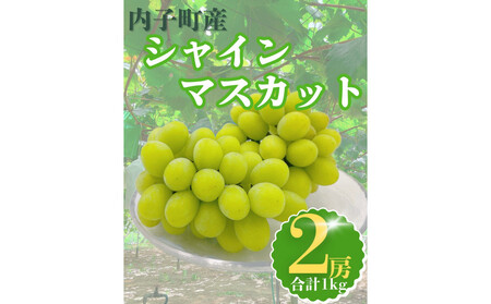 内子町産 シャインマスカット 秀品 2房 1.0kg