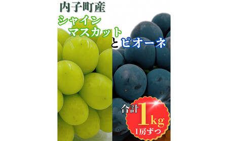 内子町産 シャインマスカット・ピオーネのセット 1.0kg