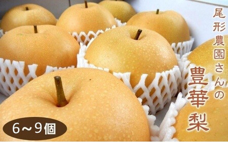 尾形農園の豊華梨(ゆたかなし)(2)[6〜9玉入り]
