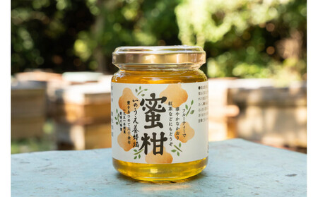 [内子町]蜜柑の雫(しずく)
