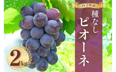 内子町産 種無しピオーネ2kg