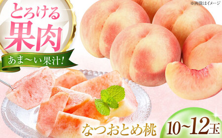 【先行予約】なつおとめ桃 10-12玉入り BKAD061 桃