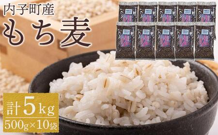 内子町産 もち麦(5kg)[穀物 穀類 食品 人気 おすすめ 送料無料]