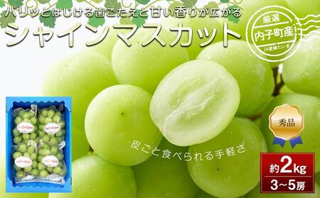 [先行予約]内子町産 シャインマスカット 青秀以上 3〜5房 約2kg ★2024年8月下旬から発送★[大人気 県産 新鮮 送料無料]シャインマスカット シャインマスカット 種なし 種無し 皮ごと食べられる 皮ごと