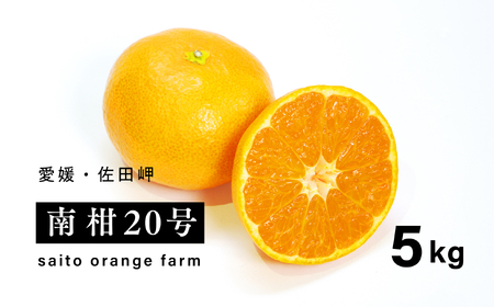 [先行予約]Saito Orange Farmの南柑20号5kg | 温州みかん 代表 柑橘 みかん ミカン フルーツ 果物 愛媛 ※離島への配送不可 ※2024年12月下旬頃より順次発送予定