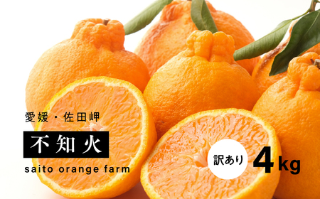 [先行予約]Saito Orange Farmの家庭用不知火4kg | 柑橘 みかん ミカン フルーツ 果物 でこぽん デコポンと同品種 愛媛 ※離島への配送不可 ※2025年3月中旬頃より順次発送予定