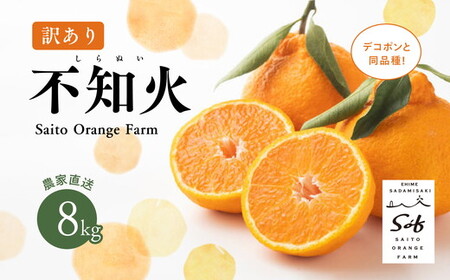 [先行予約]Saito Orange Farmの訳あり不知火8kg | 柑橘 みかん ミカン フルーツ 果物 でこぽん デコポンと同品種 愛媛 ※離島への配送不可 ※2025年3月中旬頃より順次発送予定