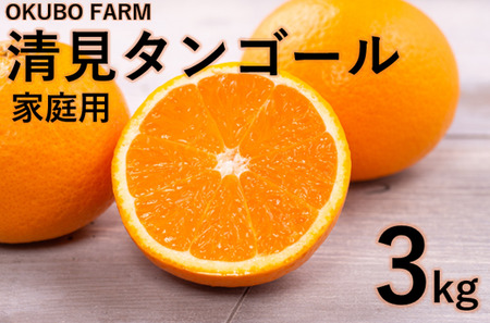 [家庭用]清見タンゴール 3kg | 柑橘 みかん ミカン フルーツ 果物 愛媛 ※北海道・沖縄・離島への配送不可 ※2025年3月中旬頃に順次発送予定