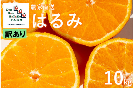 [先行予約][訳あり]はるみ 約10kg | 柑橘 みかん 果物 フルーツ 愛媛県産 農家直送 ※離島への配送不可 ※2025年2月上旬より順次発送予定