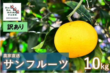 [先行予約][訳あり]サンフルーツ 約10kg | 柑橘 みかん 果物 フルーツ 愛媛県産 農家直送 ※離島への配送不可 ※2025年4月上旬より順次発送予定