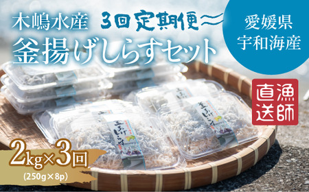 [佐田岬・漁師直送][3ヵ月連続定期便] 木嶋水産の釜揚げしらす 6kg(1回250g×8P×3回) 