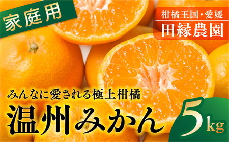 [先行予約][家庭用]温州みかん 5kg | 柑橘 みかん ミカン フルーツ 果物 愛媛 ※離島への配送不可 ※2024年11月下旬〜12月上旬頃に順次発送予定