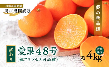 [先行予約][数量限定][訳あり]＼農園直送/愛媛県産愛果48号 約4kg|柑橘 みかん ミカン 蜜柑 果物 フルーツ 愛媛県産 ※離島への配送不可 ※2025年2月下旬〜3月下旬頃に順次発送予定