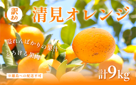 ys\z󂠂 IWv9kg ւ̔zsi2026N3{菇\j IKTAC009