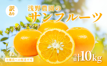 ys\zy󂠂z_̃Tt[c 10kg ւ̔zsi2026N3{菇\j IKTAC011