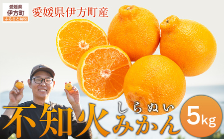 [先行予約][数量限定]不知火5kg(石崎農園)※離島への配送不可 (2026年2月10日より順次発送予定) IK