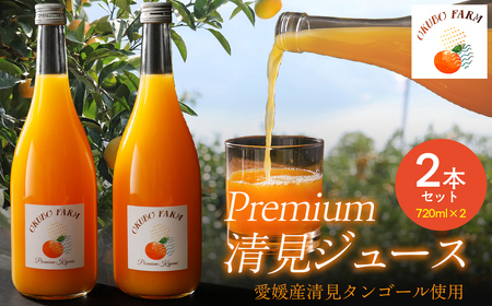 Premium清見ジュース(2本セット)※北海道・沖縄・離島への配送不可 [ふるさと納税 人気 おすすめ ランキング 柑橘 みかん ミカン フルーツ ジュース みかん ミカン オレンジジュース 清見 果物 OKUBO FARM 愛媛県 伊方町 送料無料] IK