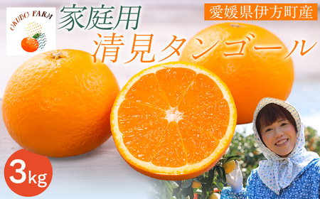 [先行予約][家庭用]清見タンゴール 3kg ※北海道・沖縄・離島への配送不可(2026年3月中旬より順次発送) [ ふるさと納税 人気 おすすめ ランキング 柑橘 みかん ミカン 清見タンゴール 清見 フルーツ 果物 OKUBO FARM 愛媛県産 家庭用 愛媛県 伊方町 送料無料 ] IK