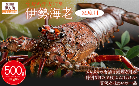 [家庭用]伊勢海老(2〜5尾・総量1kg) ※離島への配送不可(2025年9月より順次発送)