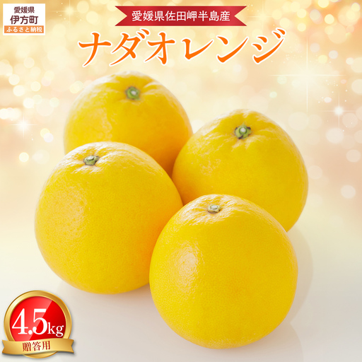 【農家直送】愛媛県産 ナダオレンジ 贈答用 4.5kg（2026年5月中旬より順次発送） IKTC012 