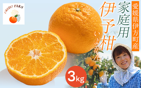 [先行予約][家庭用]伊予柑 3kg ※北海道・沖縄・離島への配送不可 (2026年1月中旬より順次発送予定) [ 柑橘 みかん ミカン 伊予甘 フルーツ 果物 ] IK