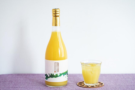 【愛媛県産】田縁農園の無添加100% 河内晩柑ジュース（720ml×3本） ストレート果汁100％ IKTA014
